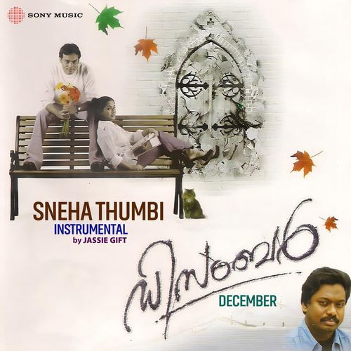 Sneha Thumbi (Instrumental)-okv tunes