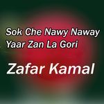 Sok che Naway Naway Yaar Zaa La Gori