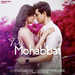 Teri Mohabbat-A1kIBxICB3g