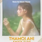 Thamoi Ani Amta Oina Remix