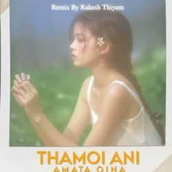 Thamoi Ani Amta Oina Remix