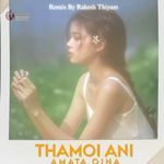 Thamoi Ani Amta Oina (Remix)