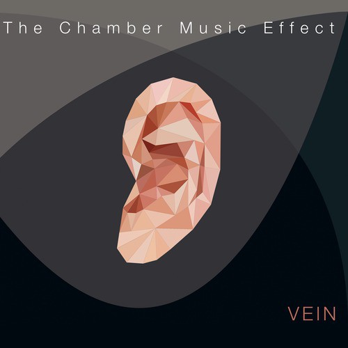 The Chamber Music Effect_poster_image