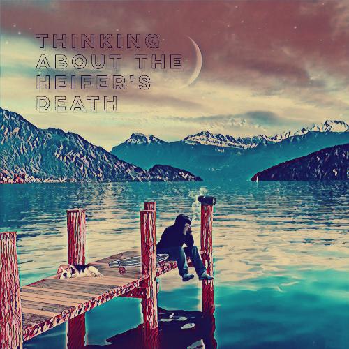 Flown cover art