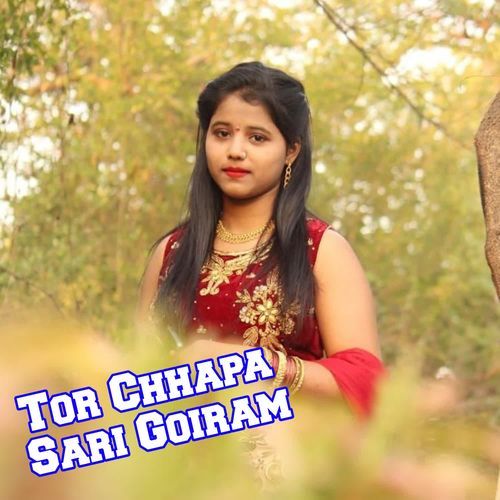 Tor Chhapa Sari Goiram
