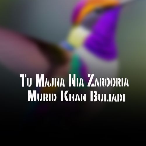 Tu Majna Nia Zarooria