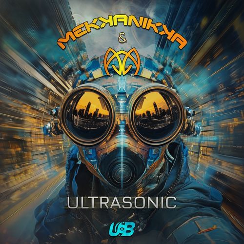Ultrasonic