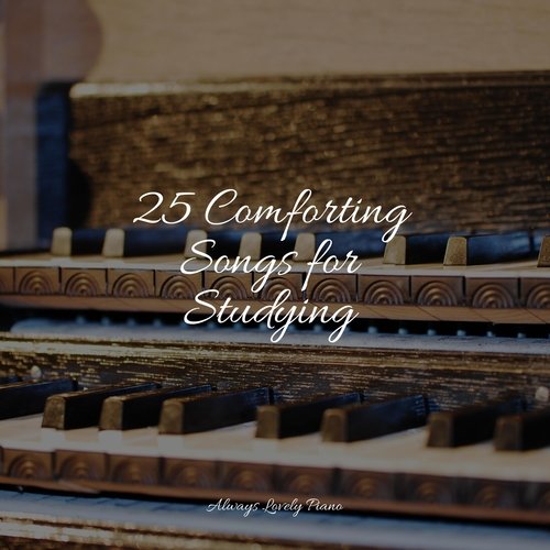 25 Comforting Songs for Studying_poster_image