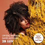 2B Luv (David Morales Club Mix)