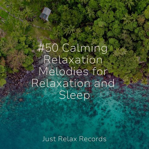 #50 Calming Relaxation Melodies for Relaxation and Sleep