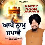 Simar Mana Ram Naam Chitare artwork