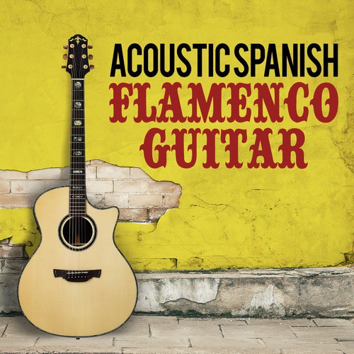 Acoustic Spanish Flamenco Guitar