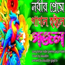 Amar Nobir Preme Pagol Holile