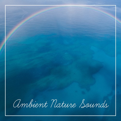 Nature Sounds cover art