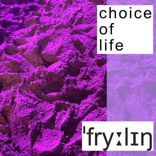 Choice Of Life (Niklas Worgt Remix) cover art