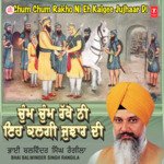 Chum Chum Rakho Ni Eh Kalgi Jujhar Di(Vyakhya S.