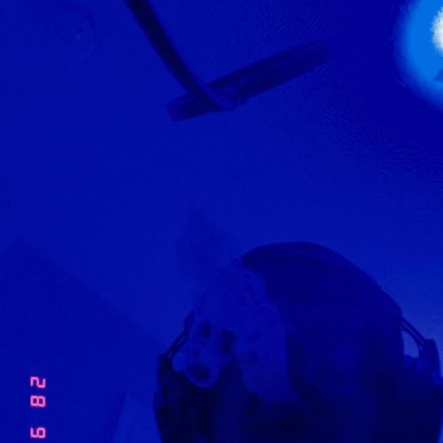 Dream Late cover art