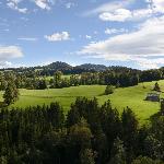 The Oasis of Daydreams