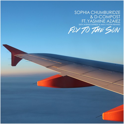 Fly to the Sun_poster_image