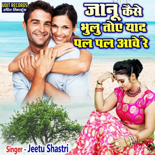 Janu Kaise Bhulu Toye Yaad Pal Pal Aave Re