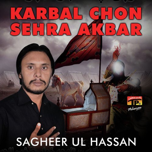 Sagheer Ul Hassan