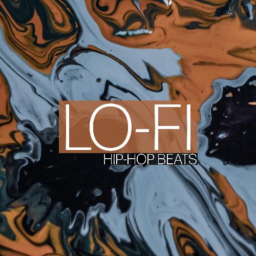 Lofi Hip Hop Beats_poster_image