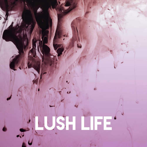 Lush Life_poster_image