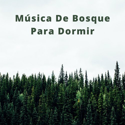 Meditación Para La Ansiedad cover art
