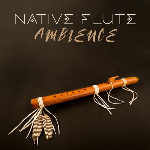 Native Flute Ambience: Find Your Peace in Music_poster_image