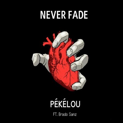 Never Fade (feat. Brado Sanz)