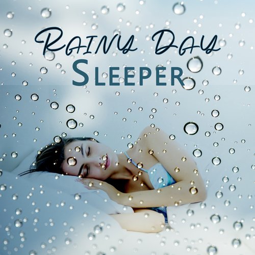 Rainy Day Sleeper: Rainfall for Night Relaxation_poster_image