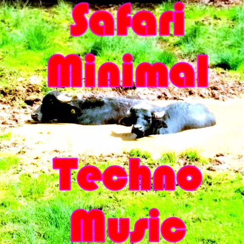 Safari Minimal Techno Music (123 Minimal Techno Tracks!)