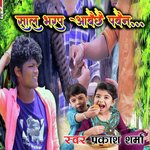 Salbhar Par Aabai Chhai Pabain