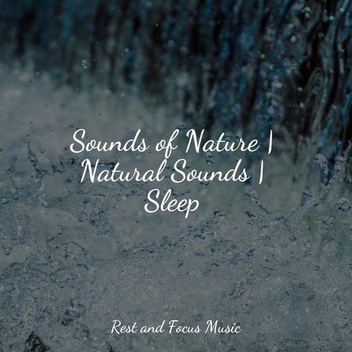 Sounds of Nature | Natural Sounds | Sleep