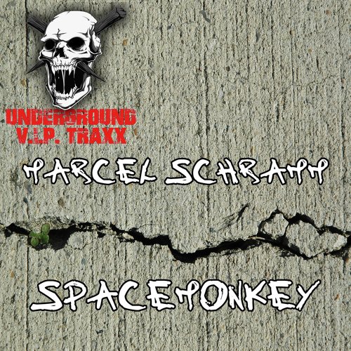 Spacemonkey (Original Mix) cover art
