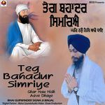 Teg Bhadur Simriye Ghar Nau Nidh Aave Dhaye
