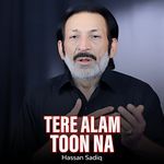 Tere Alam Toon Na artwork
