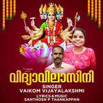 Vidhyavilasini artwork