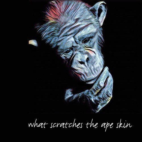 The Fool cover art