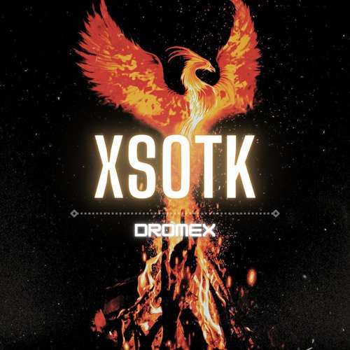 Qrika cover art