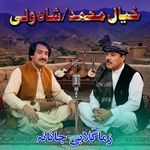 ZAMA GULABI JANAN