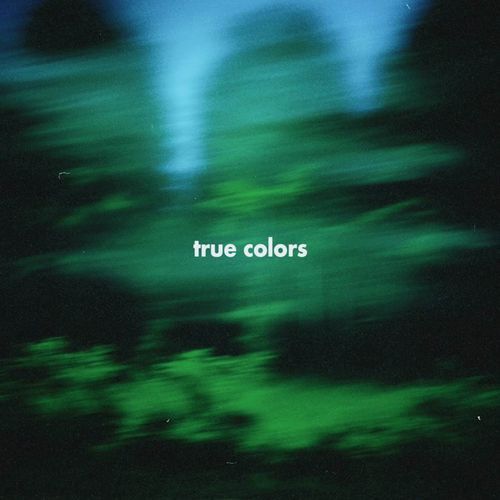 true colors_poster_image