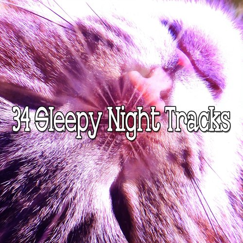 34 Sleepy Night Tracks