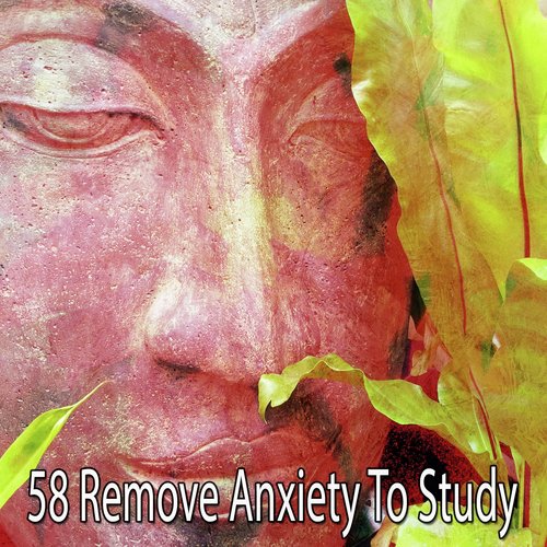 58 Remove Anxiety to Study