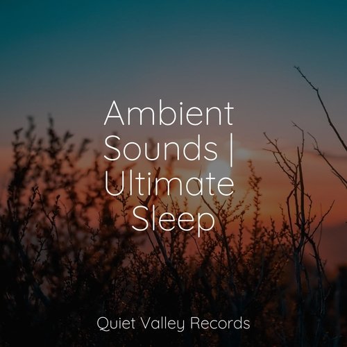 Ambient Sounds | Ultimate Sleep