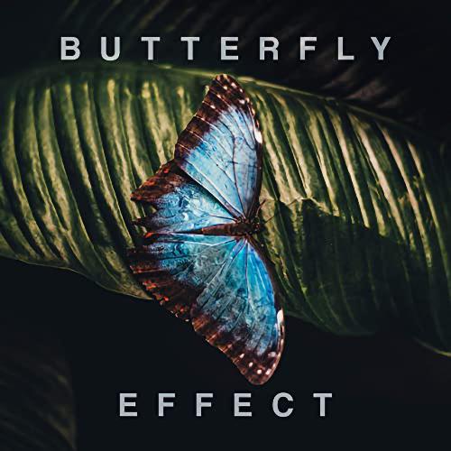 Butterfly Effect_poster_image