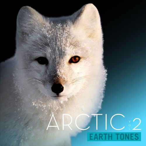 Tundra Stuck cover art