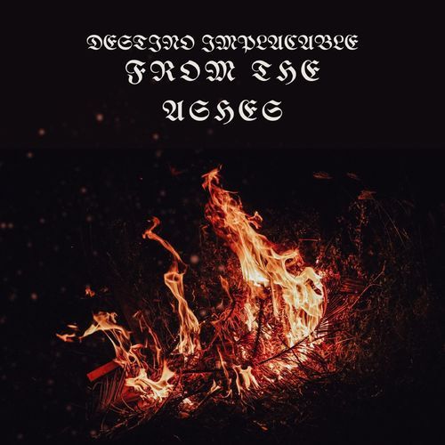 The Greys cover art