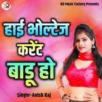Hai Bholtej Karent Badu Ho