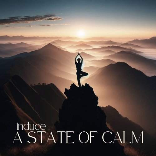 Relaxing Vibes cover art